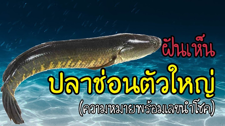 ฝันว่าได้จับปลาช่อน 1 ตัว