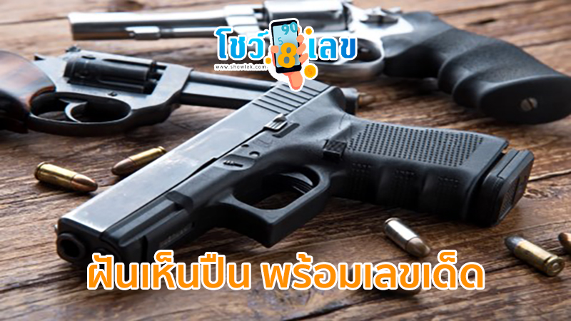 ฝันว่ายิงปืนขึ้นฟ้า-"Dreaming of shooting a gun into the sky"