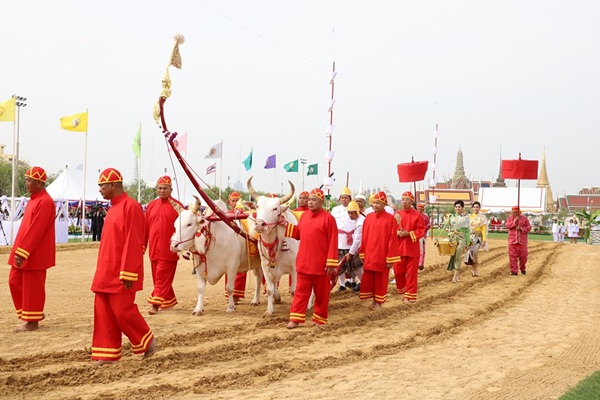 วันพืชมงคล