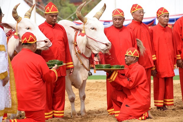 วันพืชมงคล