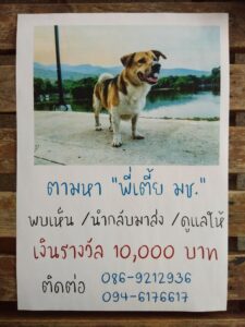 เตี้ยมช เสียชีวิต
