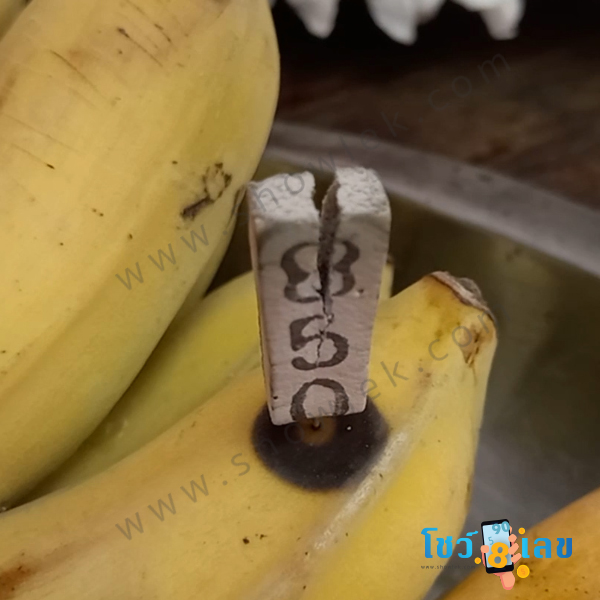 พ่อปู่ฤๅษีสิงห์