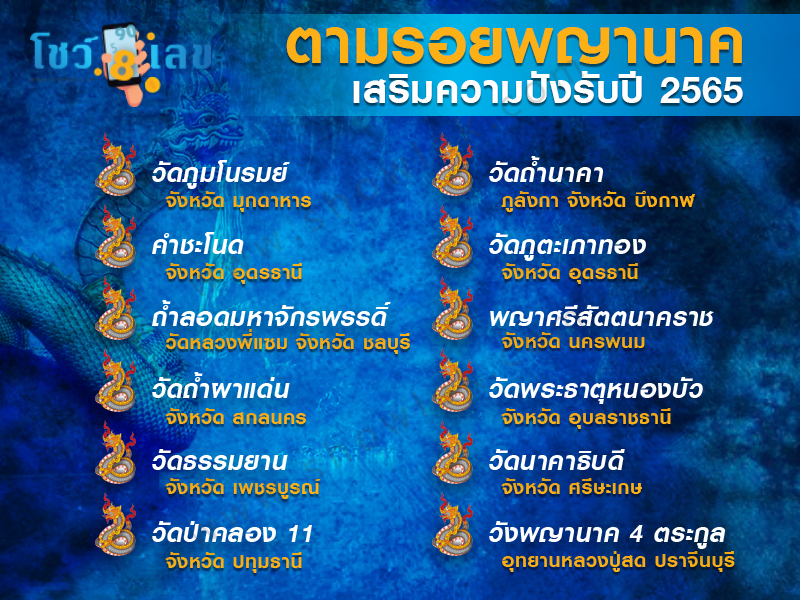 พญานาค, ตามรอยพญานาค, ไหว้พญานาค