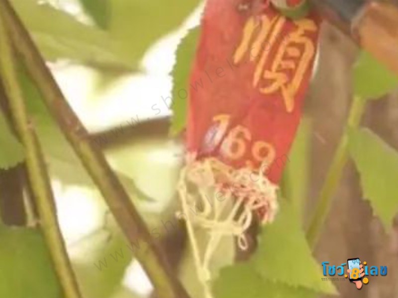 เลขเด็ด 1/8/65