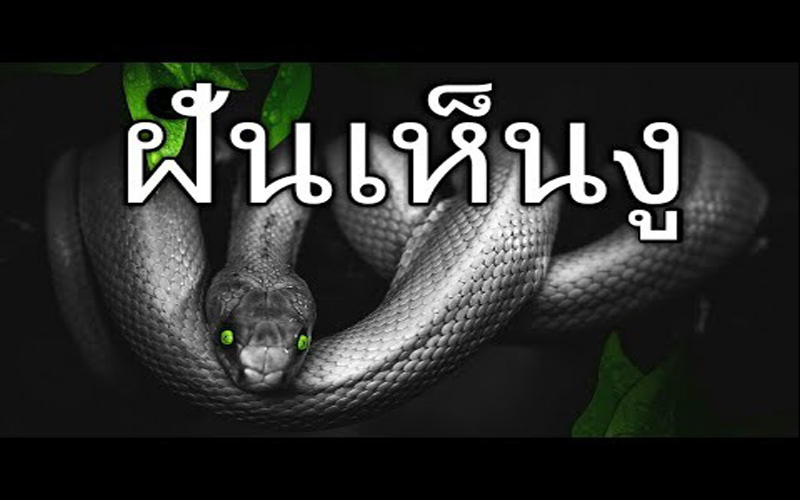 ฝันเห็นงูหลายตัวแต่ไม่กัด-ฝันเห็นงู