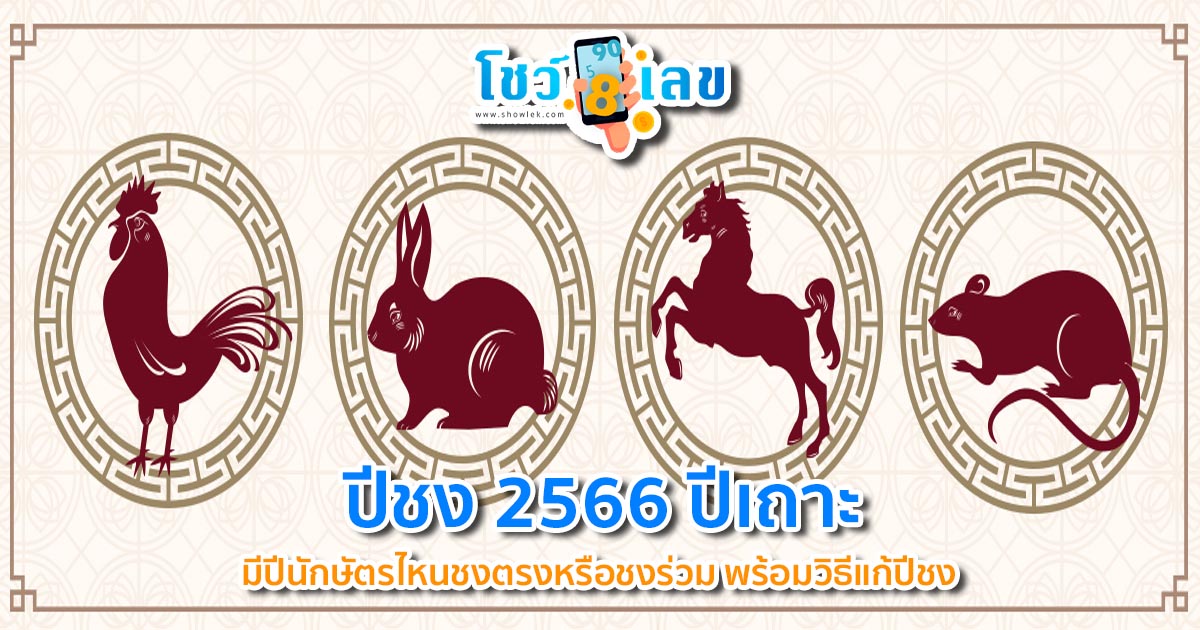 ปีชง 2566 ปีเถาะ มีปีนักษัตรไหนชงตรงหรือชงร่วม และดูยังไงว่าเป็นปีชง พร้อมวิธีแก้ปีชง