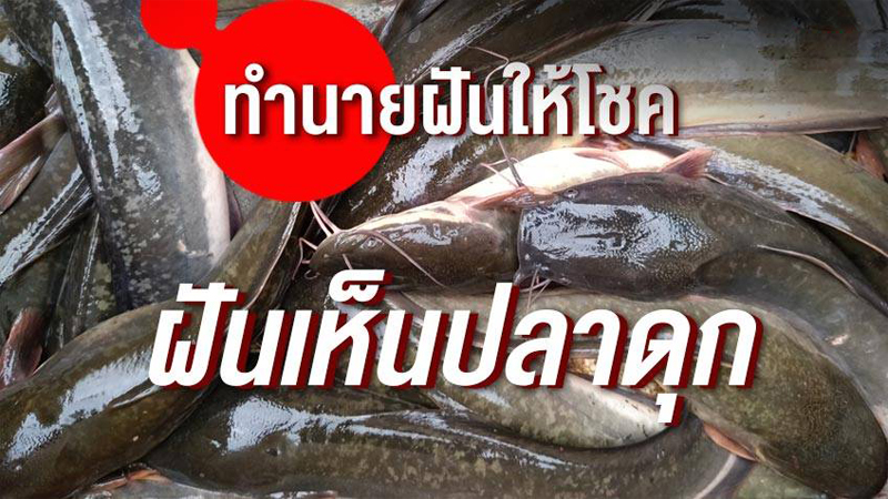 ฝันเห็นปลาดุกติดเบ็ด