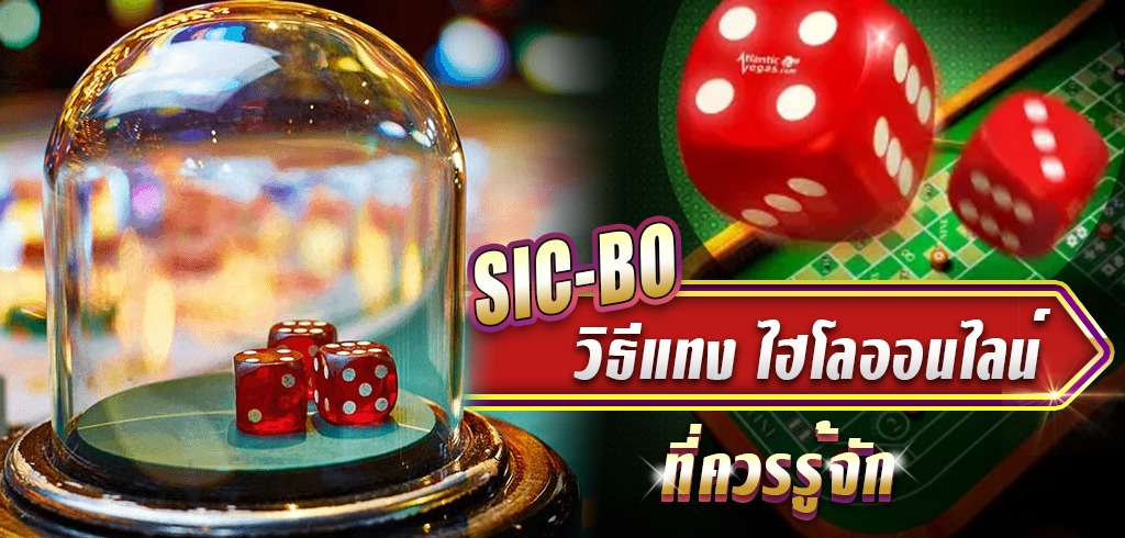 11ไฮโล คือ