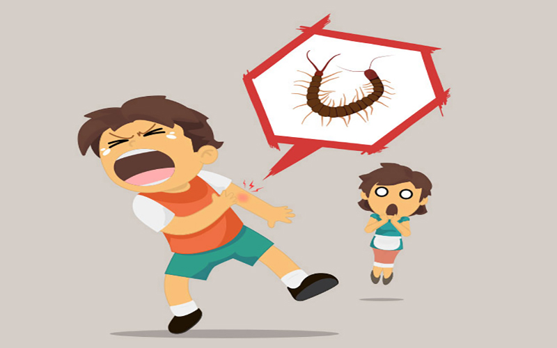 ฝันเห็นตะขาบ - โชว์เลข.com