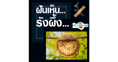 ฝันเห็นรังผึ้ง