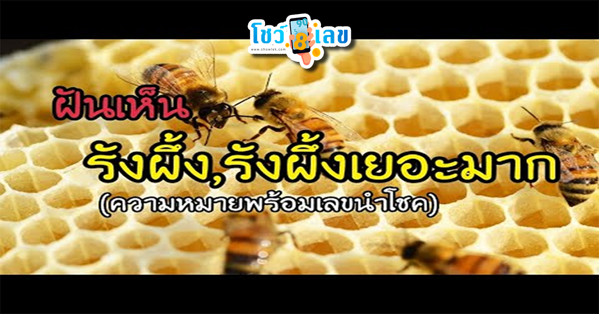 ฝันเห็นรังผึ้งเลขเด็ด