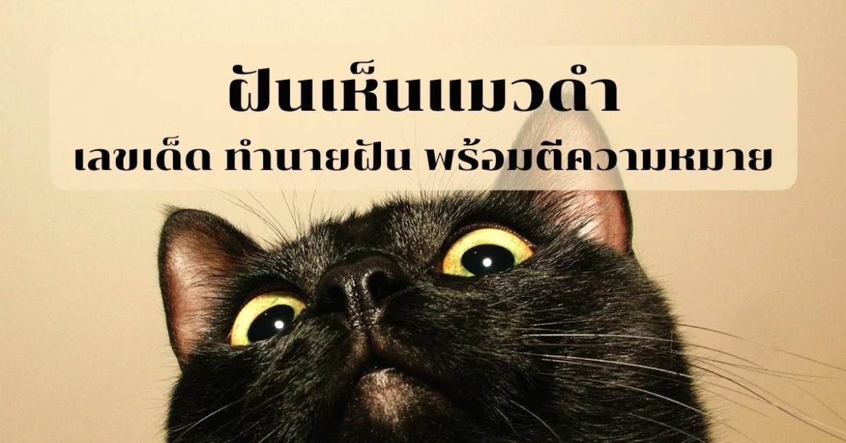 ทำนายความฝัน