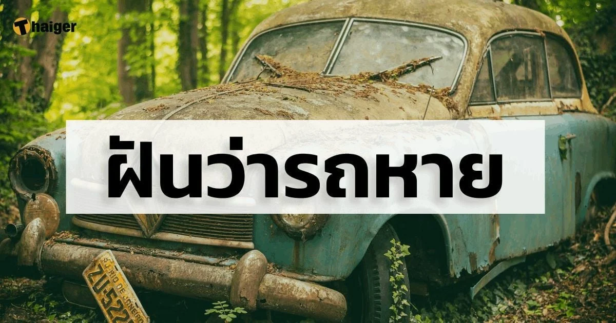 ฝันว่ารถหาย-showlek