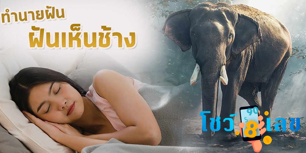 ฝันเห็นช้างตัวใหญ่ มีความหมายอย่างไร พร้อมเลขเด็ดสุดปัง