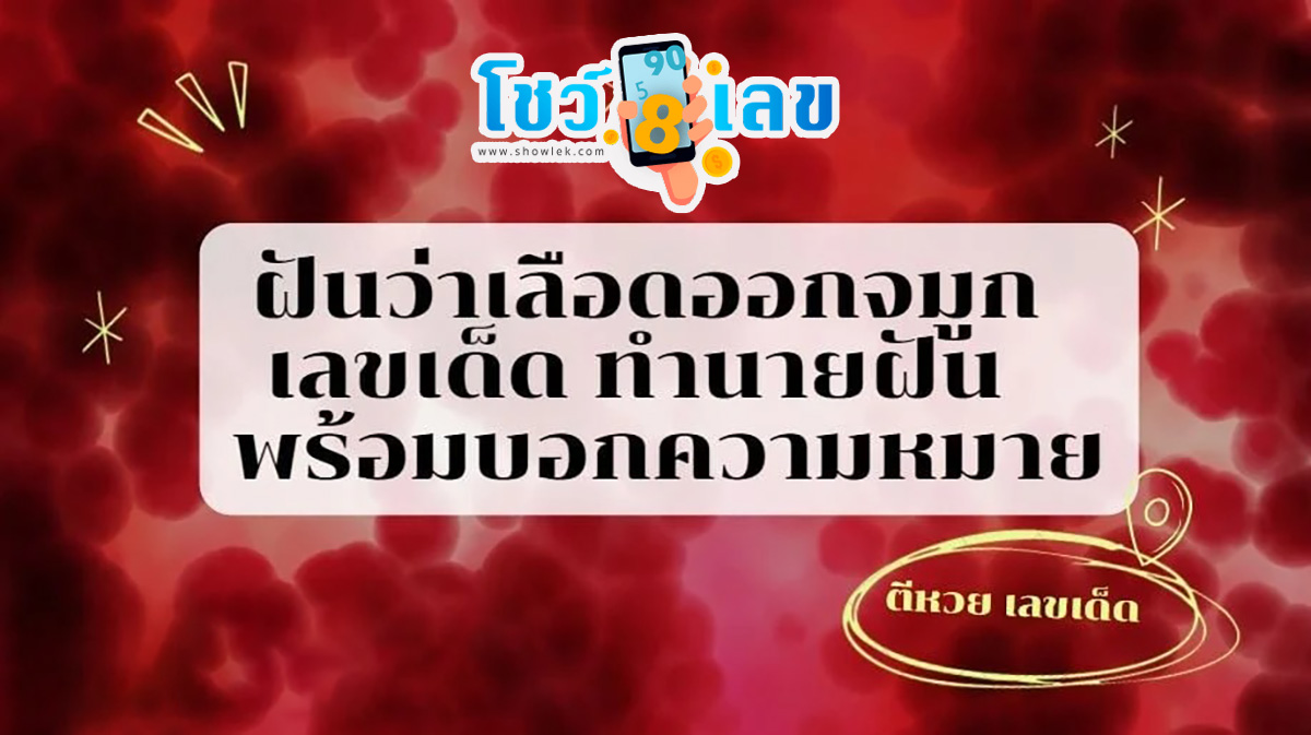 ฝันว่าเลือดออกจมูก เลขเด็ด ทำนายฝัน พร้อมบอกความหมาย