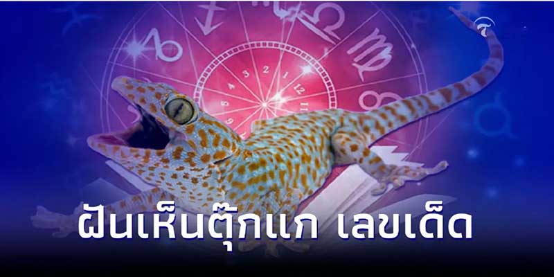 ฝันเห็นตุ๊กแก 2 ตัว