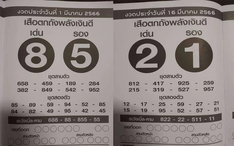 เสือตกถัง พลังเงินดี 30 12 65 - showlek