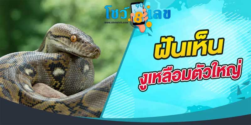 ฝันเห็นงูเหลือมตัวใหญ่
