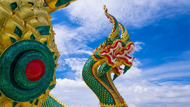 ฝันเห็นพญานาคสีเขียว - โชว์เลข.com