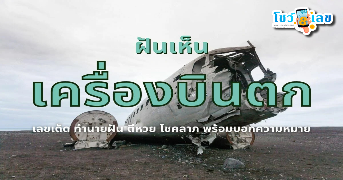 ฝันว่าได้ขึ้นเครื่องบิน
