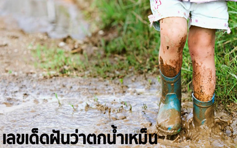 ฝันว่าตกน้ำเหม็น