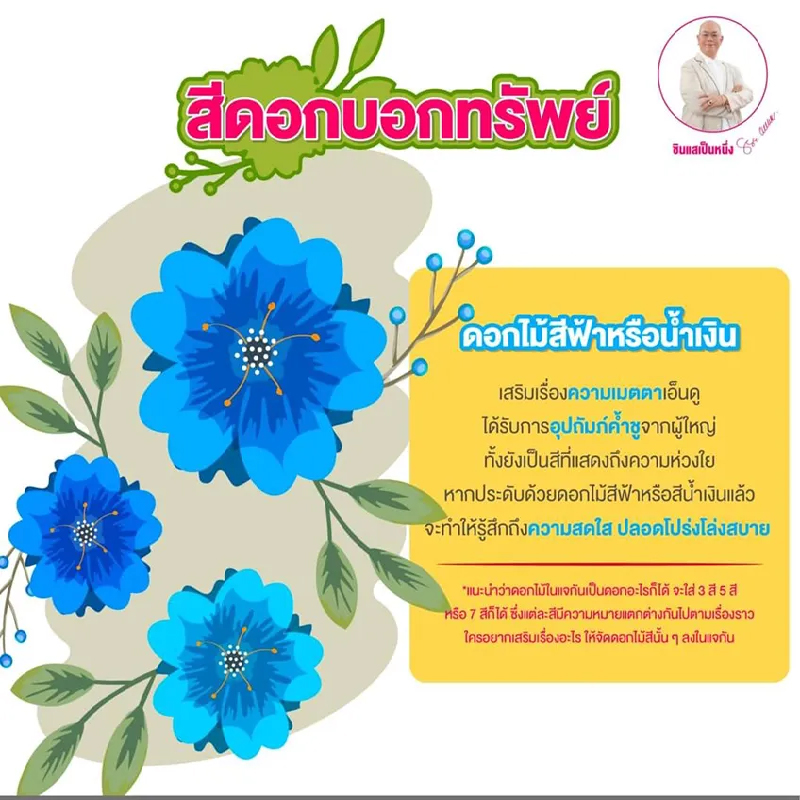  สีดอกบอกทรัพย์