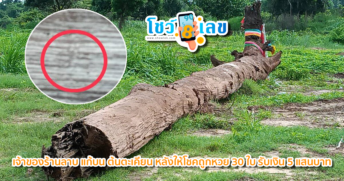 ถูกหวยรางวัลใหญ่ 30 ใบ เจ้าของร้านลาบ แก้บน ต้นตะเคียน ได้เลขเด็ดอีก