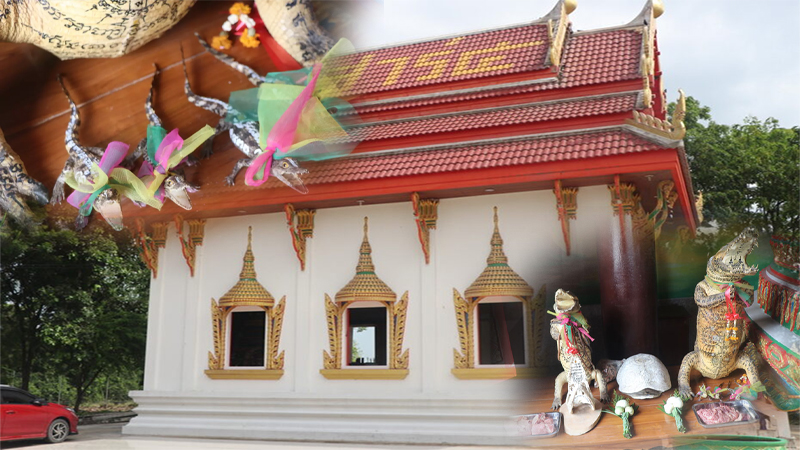 เลขเด็ดจากจระเข้