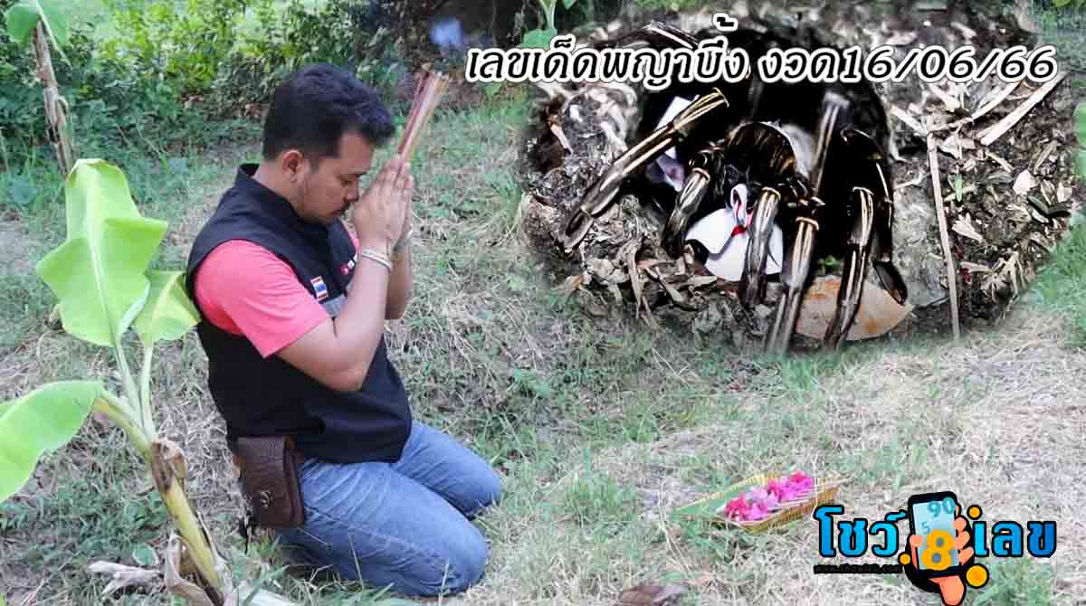 ลุ้นโชค เลขเด็ดพญาบึ้ง ประจำงวดวันที่ 16 มิถุนายน 2566 เสี่ยงทายตัวเลข ตามวิถีความเชื่อ