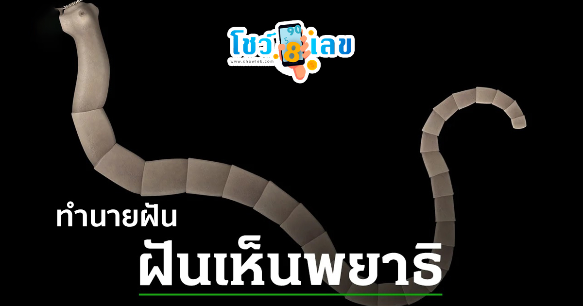 ฝันเห็นพญาธิ สื่อความหมายอะไร ใครอยากดูดวง เรามีคำทำนายฝัน พร้อมเลขเด็ดงวดนี้มาบอก