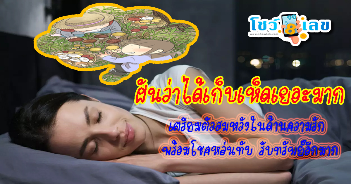 ฝันว่าได้เก็บเห็ดเยอะมาก ฝันเห็นเห็ด  หมายถึงอะไร เช็กทำนายฝัน พร้อมเลขเด็ดงวดนี้