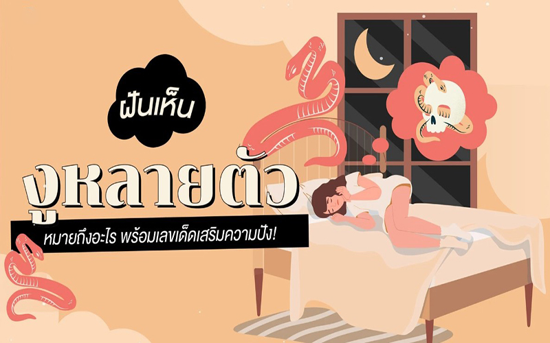ฝันเห็นงูหลายตัวเต็มไปหมด-showlek.com