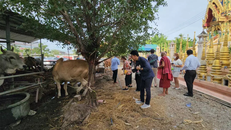 เลขเด็ดงวดนี้ 1/7/66
