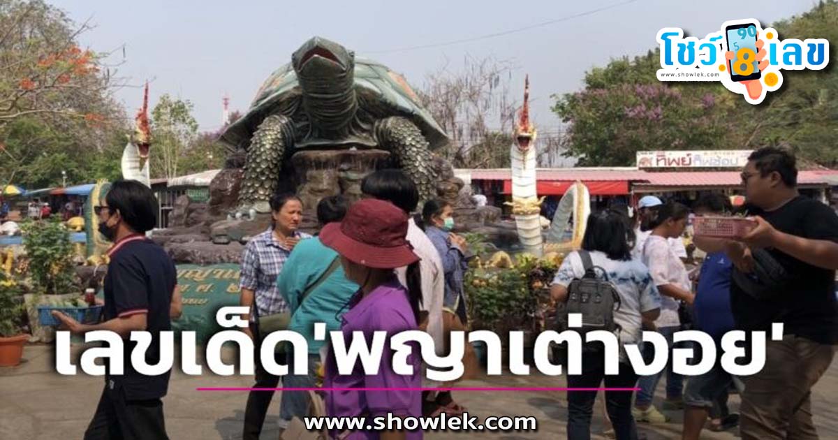 เลขพญาเต่างอย 31/7/66 เลขเด็ดมาแรง แนวทางสลากกินแบ่งรัฐบาลไทย
