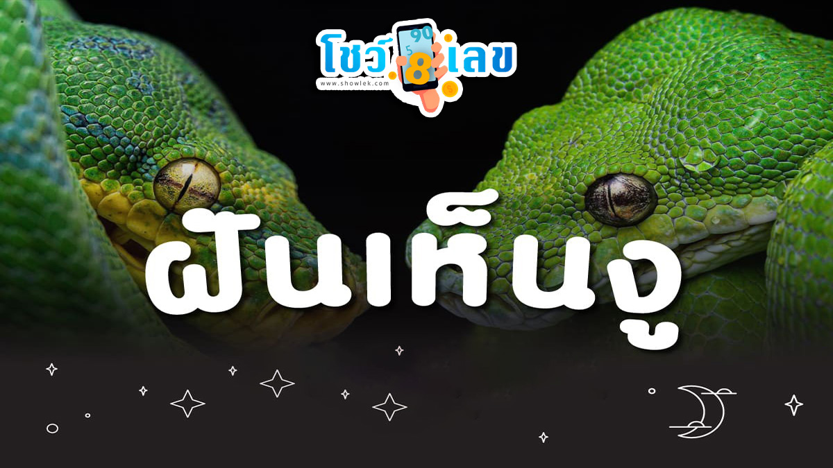 ฝันเห็นงูู เป็นลางร้ายหรือลางดีมาดูคำทำนายฝัน พร้อมเลขเด็ดเสริมความปัง!