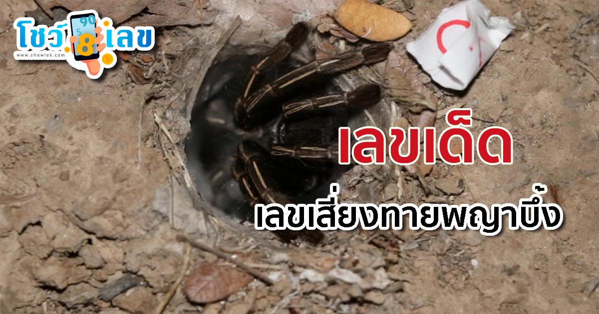เลขพญาบึ้ง 16/7/66 เปิดเลขเด็ด “พญาบึ้ง” เตรียมลุ้นโชค รับทรัพย์หวยงวดนี้