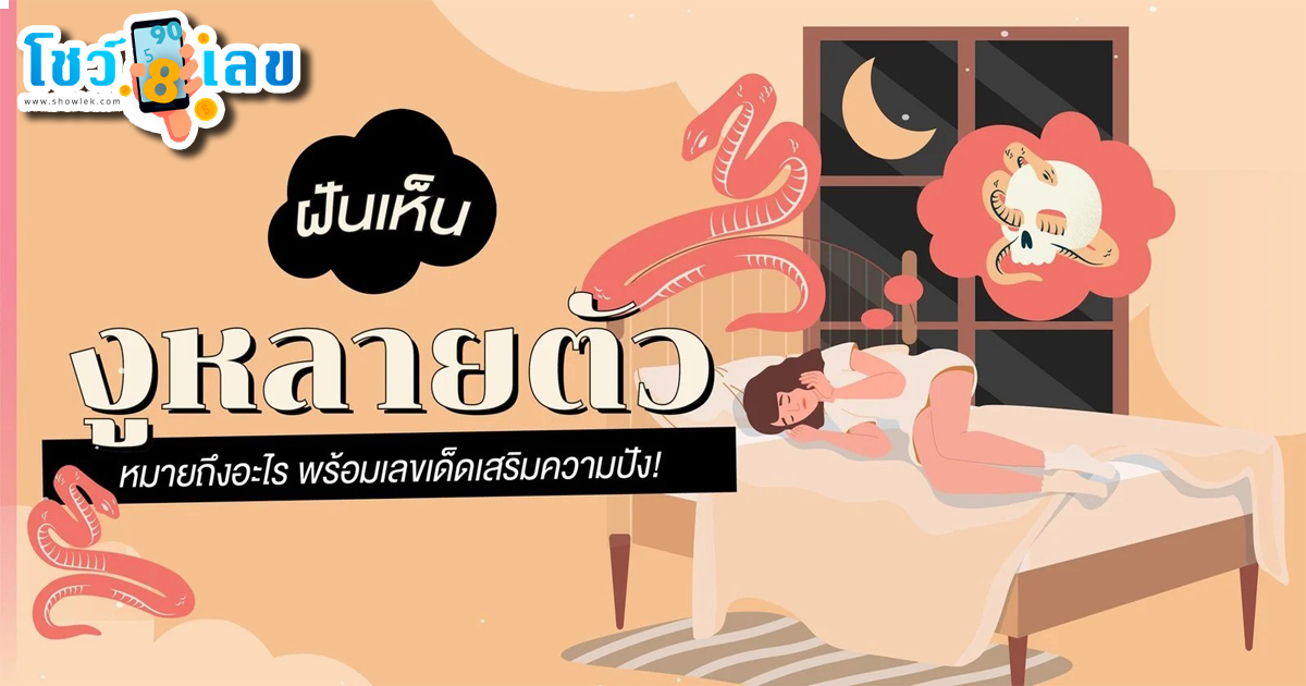 ฝันเห็นงูหลายตัว หมายถึงอะไร พร้อมเลขเด็ดเสริมความปัง!