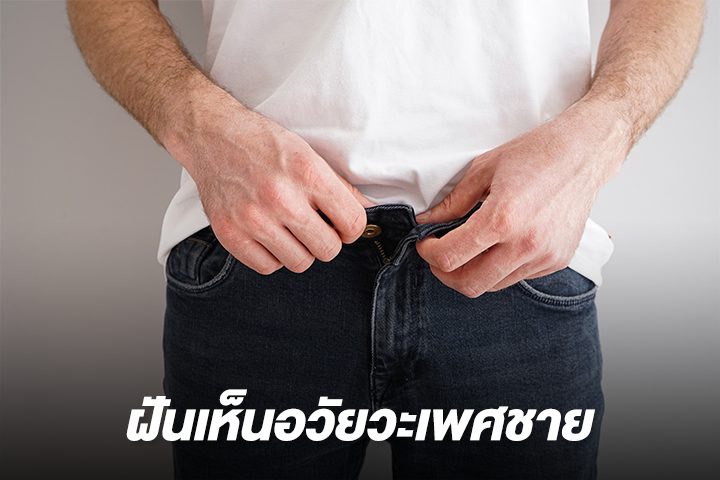 ฝันเห็น อ วั ยะ เพศชายใหญ่มาก - showlek