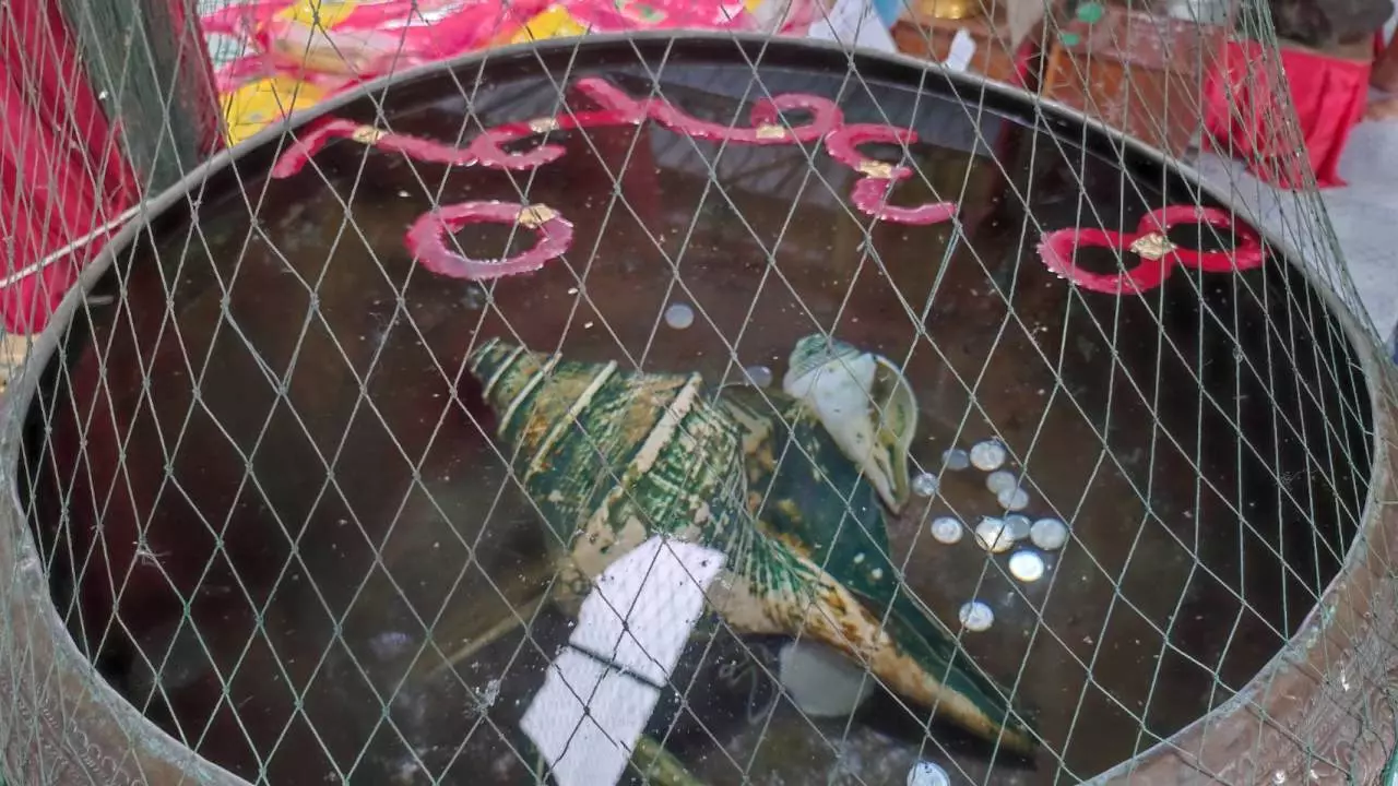 คนดวงเฮง