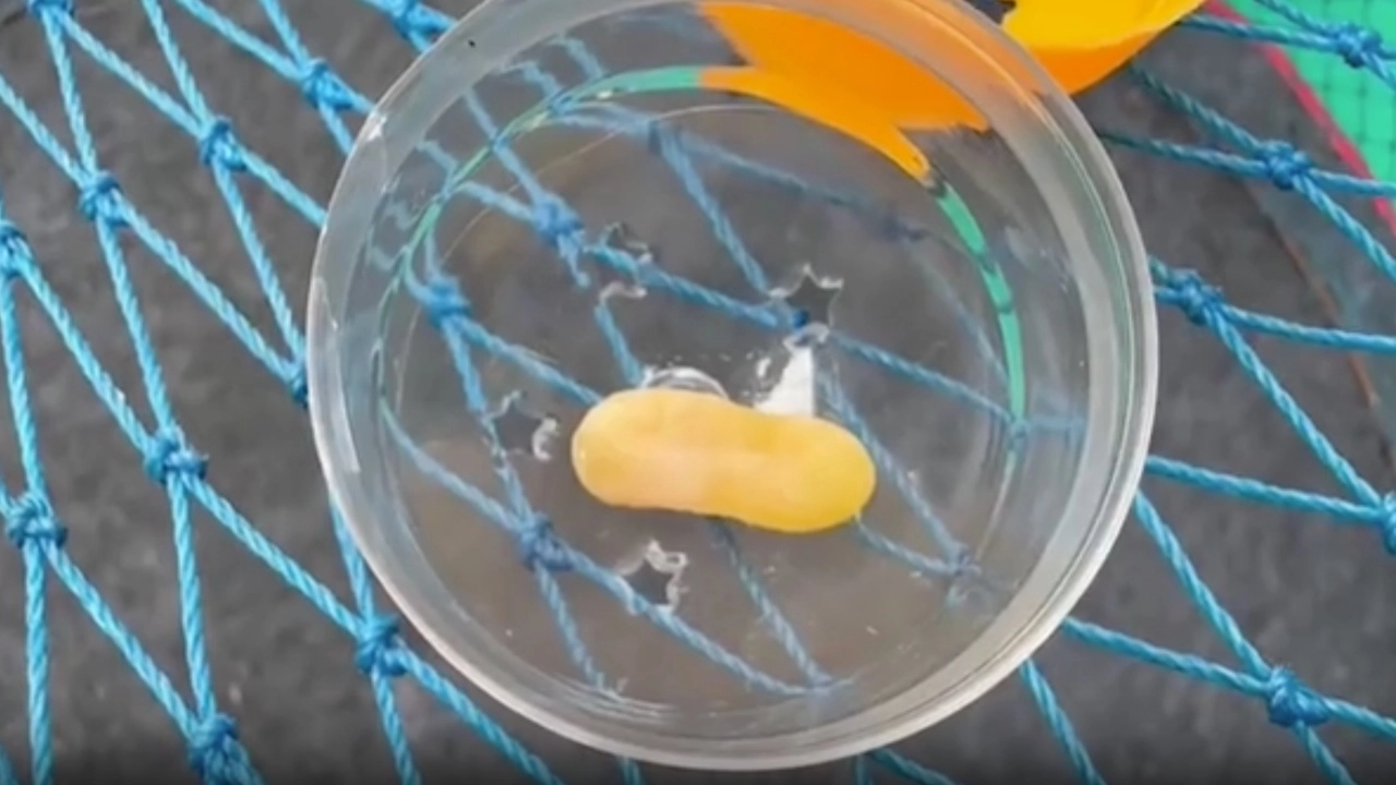 งูเขียว