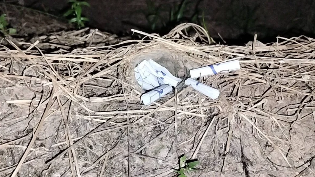 หวยพญาบึ้งล่าสุด - showlek