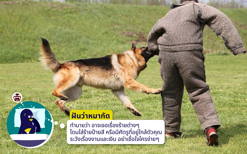 ฝันว่าสุนัขไล่กัด-showlek.com