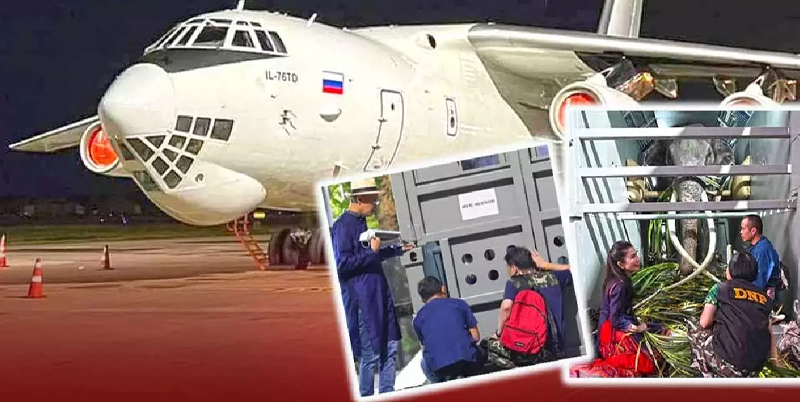 พลายศักดิ์สุรินทร์ ล่าสุด