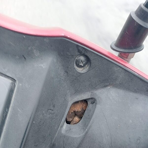 แห่ส่องเลขเด็ด