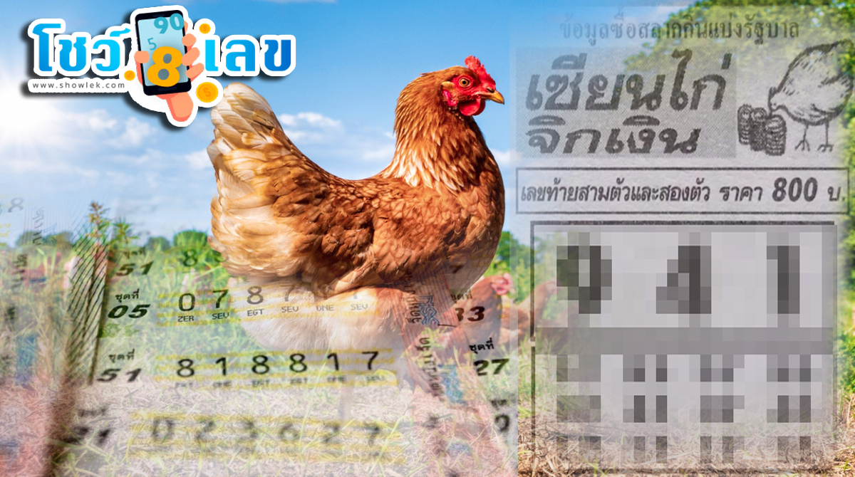 เลขเซียนไก่จิกเงิน แนวทางสลากกินแบ่งรัฐบาล เลขเด็ดมาเสิร์ฟท่านถึงที่แล้ว!