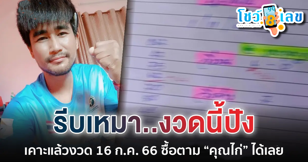 คอหวยส่องด่วน เลขเด็ด ไก่เจ้าพายุ 16/7/66 แจกแนวทางเลขหวยรัฐบาลไทย