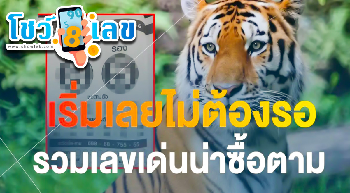 แจกให้ก่อนใคร เสือตกถังพลังเงินดี งวด 16 สิงหาคม 2566 ดักทุกเลขเด่นน่าซื้อตาม