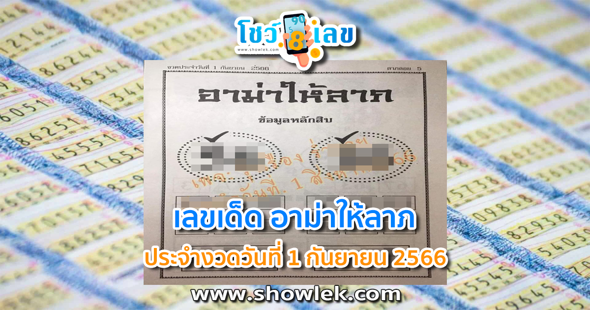 อาม่าให้ลาภ 1 9 66 เลขเด็ดมาแรง แนวทางสลากกินแบ่งรัฐบาลไทย