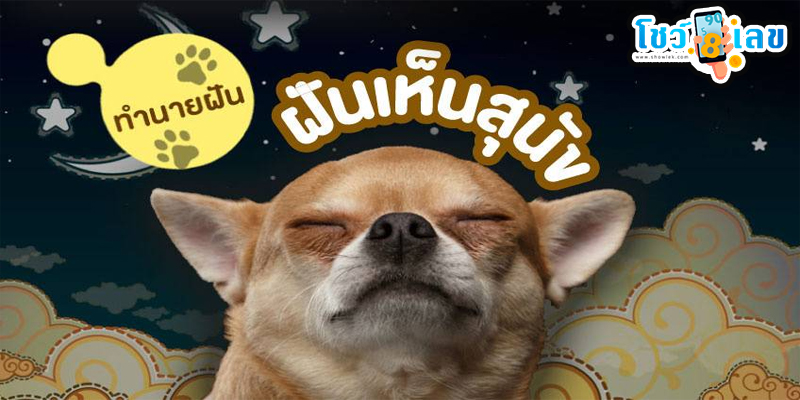 ฝันเห็นสุนัขสีดําตัวใหญ่