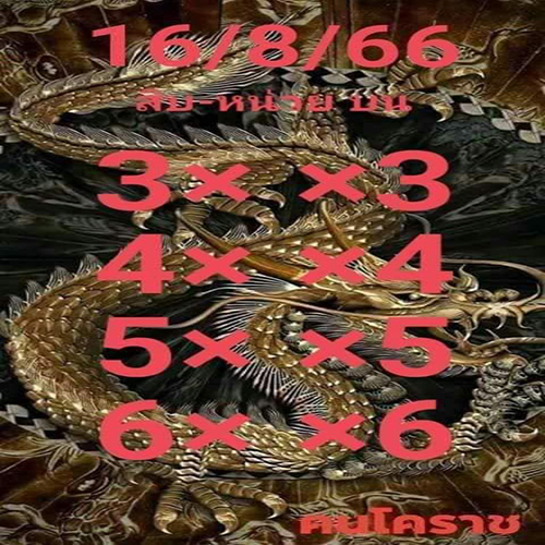 เลขคนโคราช 16 8 66-showlek.com